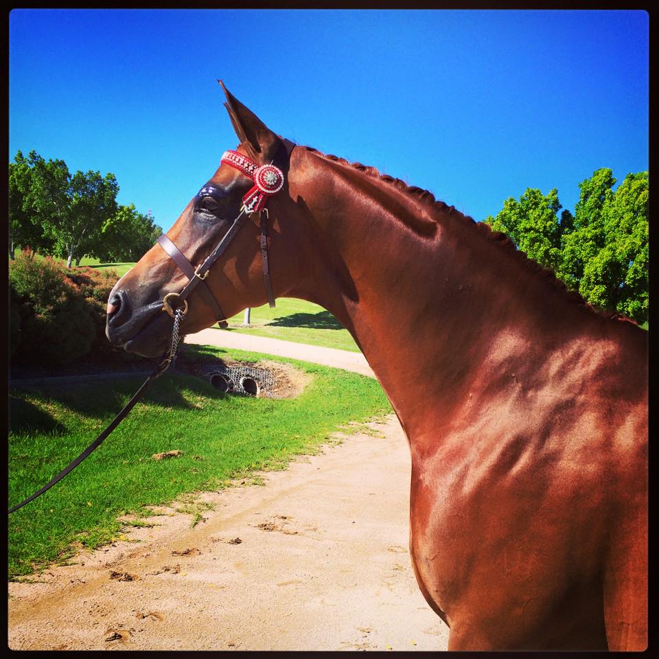 NGE Gallery | Tell us your news!