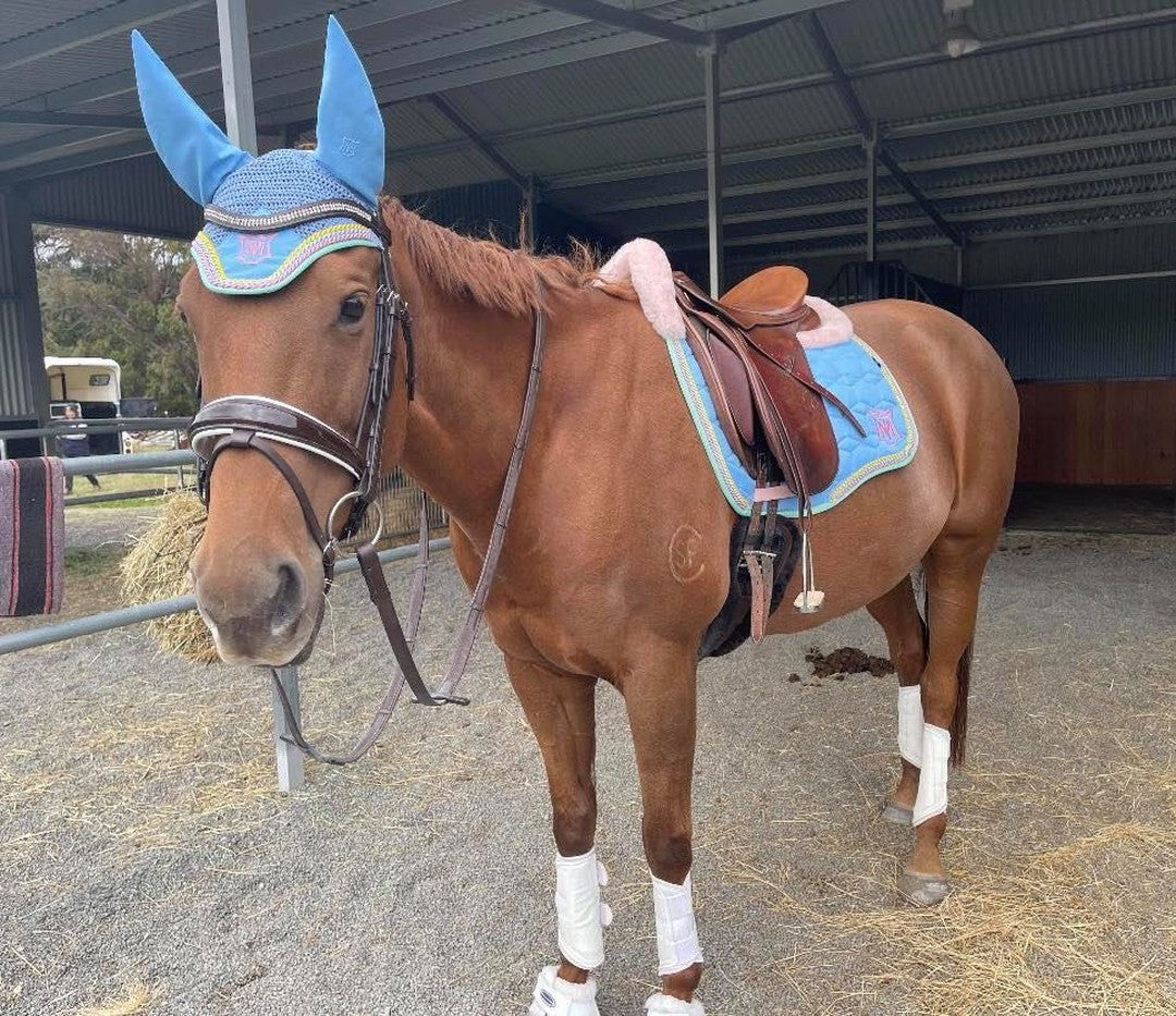 💙💛Lilly debuted her new Mattes...