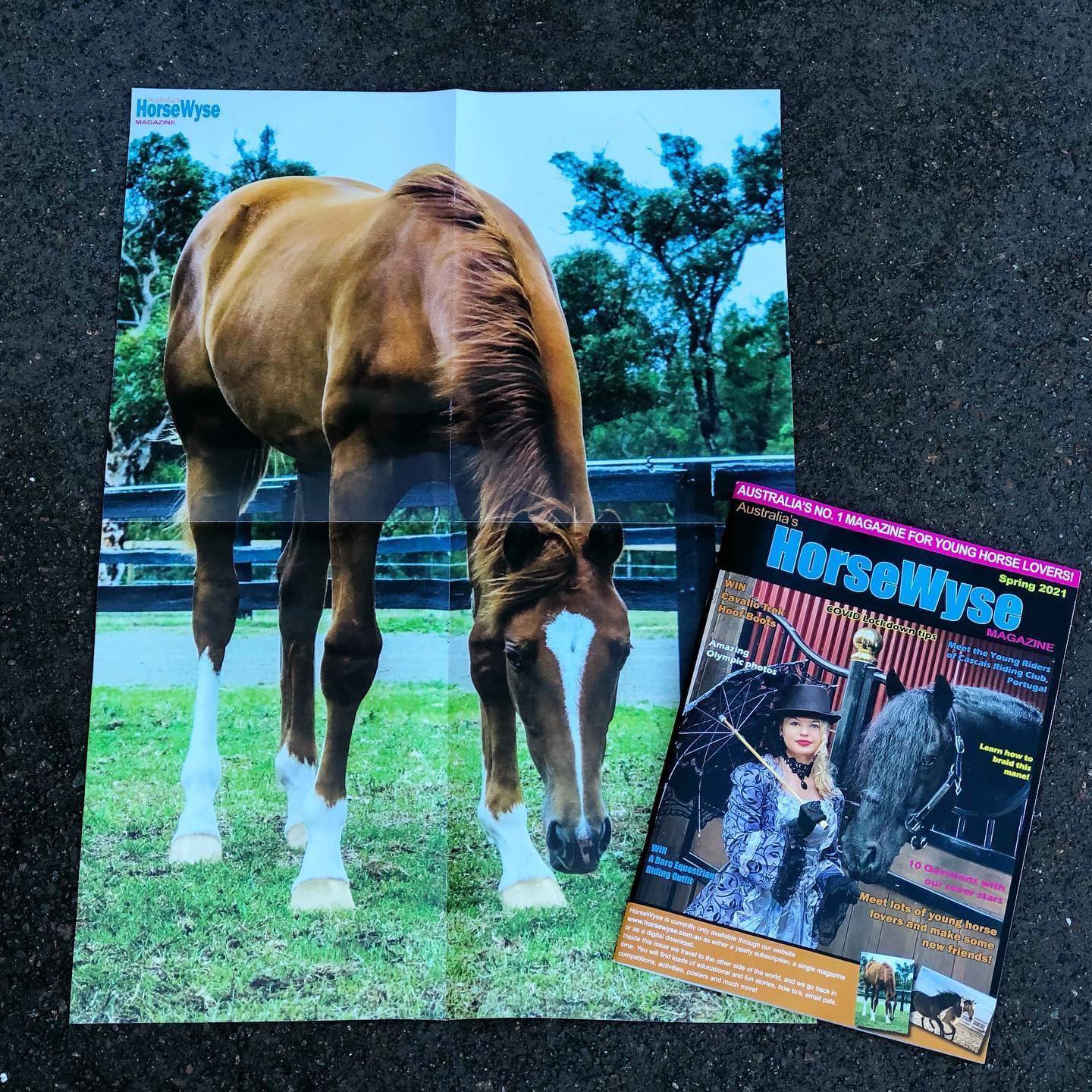 Flawless NGE becomes a poster pony!