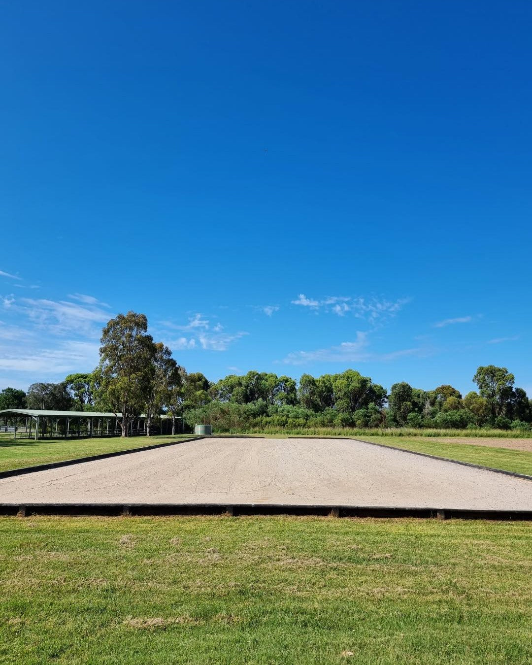 𝗔𝗹𝗲𝘅𝗮𝗻𝗱𝗲𝗿 𝗣𝗮𝗿𝗸 𝗗𝗿𝗲𝘀𝘀𝗮𝗴𝗲 𝗖𝗹𝘂𝗯 | 𝗬𝗼𝘂𝗻𝗴 𝗛𝗼𝗿𝘀𝗲 𝗧𝘄𝗶𝗹𝗶𝗴𝗵𝘁 𝗘𝘃𝗲𝗻𝘁