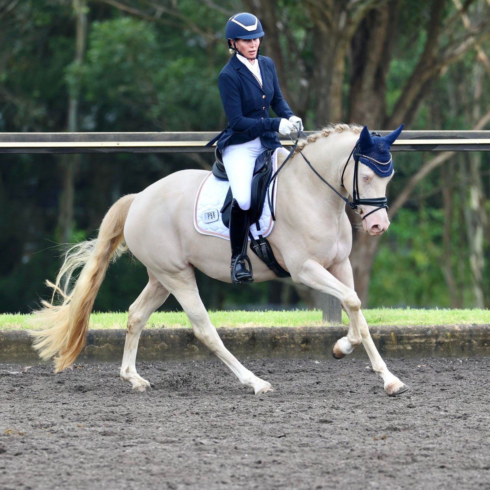 🦄𝗚𝗹𝗲𝗻𝗵𝗶𝗹𝗹 𝗠𝗮𝘁𝗶𝗻𝗲𝗲 - 𝗹𝗼𝗼𝗸𝗶𝗻𝗴 𝗮 ⭐𝗶𝗻 𝗵𝗲𝗿 𝗰𝘂𝘀𝘁𝗼𝗺 𝗘.𝗔.𝗠𝗮𝘁𝘁𝗲𝘀 𝗦𝗮𝗱𝗱𝗹𝗲 𝗽𝗮𝗱 𝗳𝗿𝗼𝗺 𝗡𝗲𝘅𝘁𝗚𝗲𝗻.