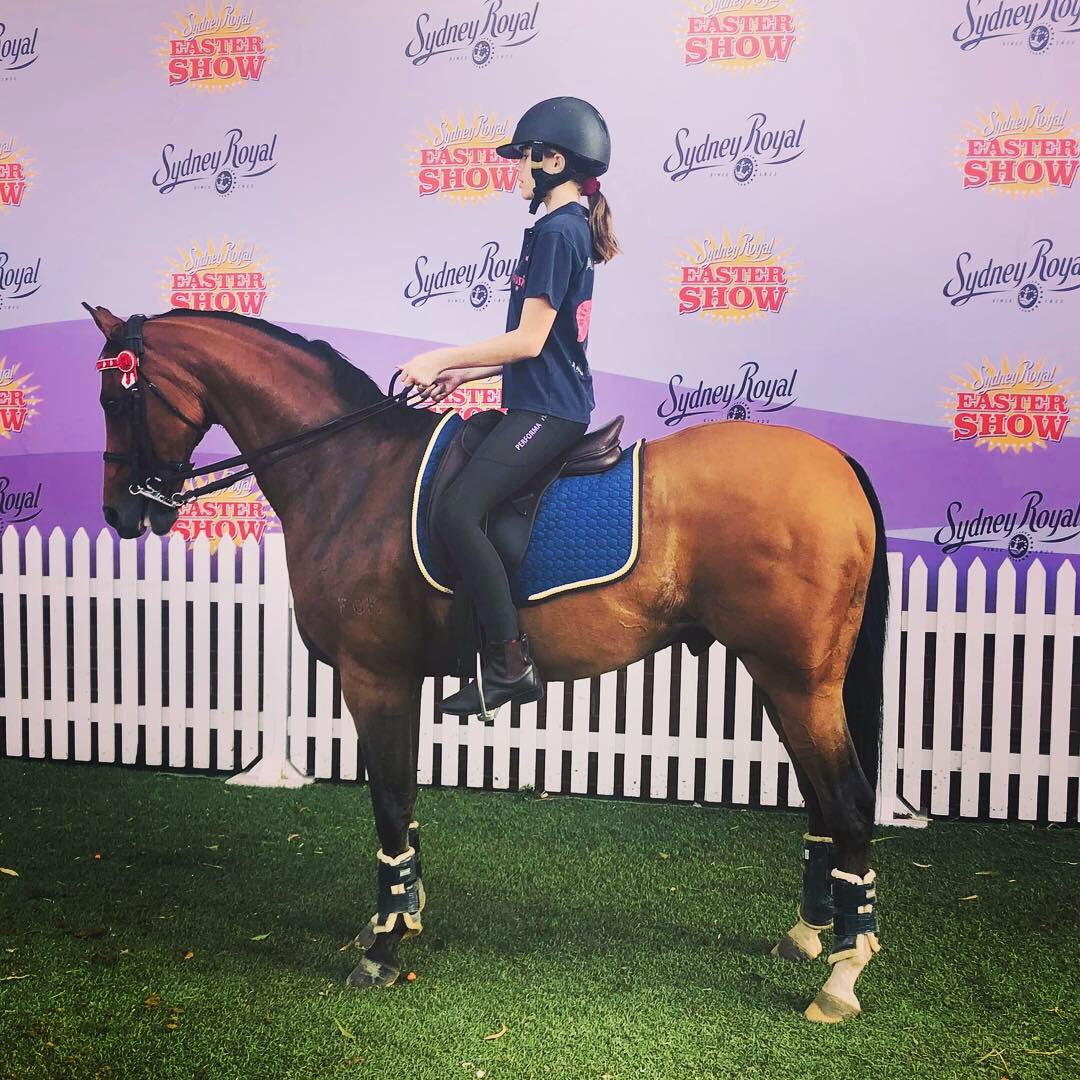 NGE Gallery | E.A.Mattes NextGen Clinic Edition Saddle Pad