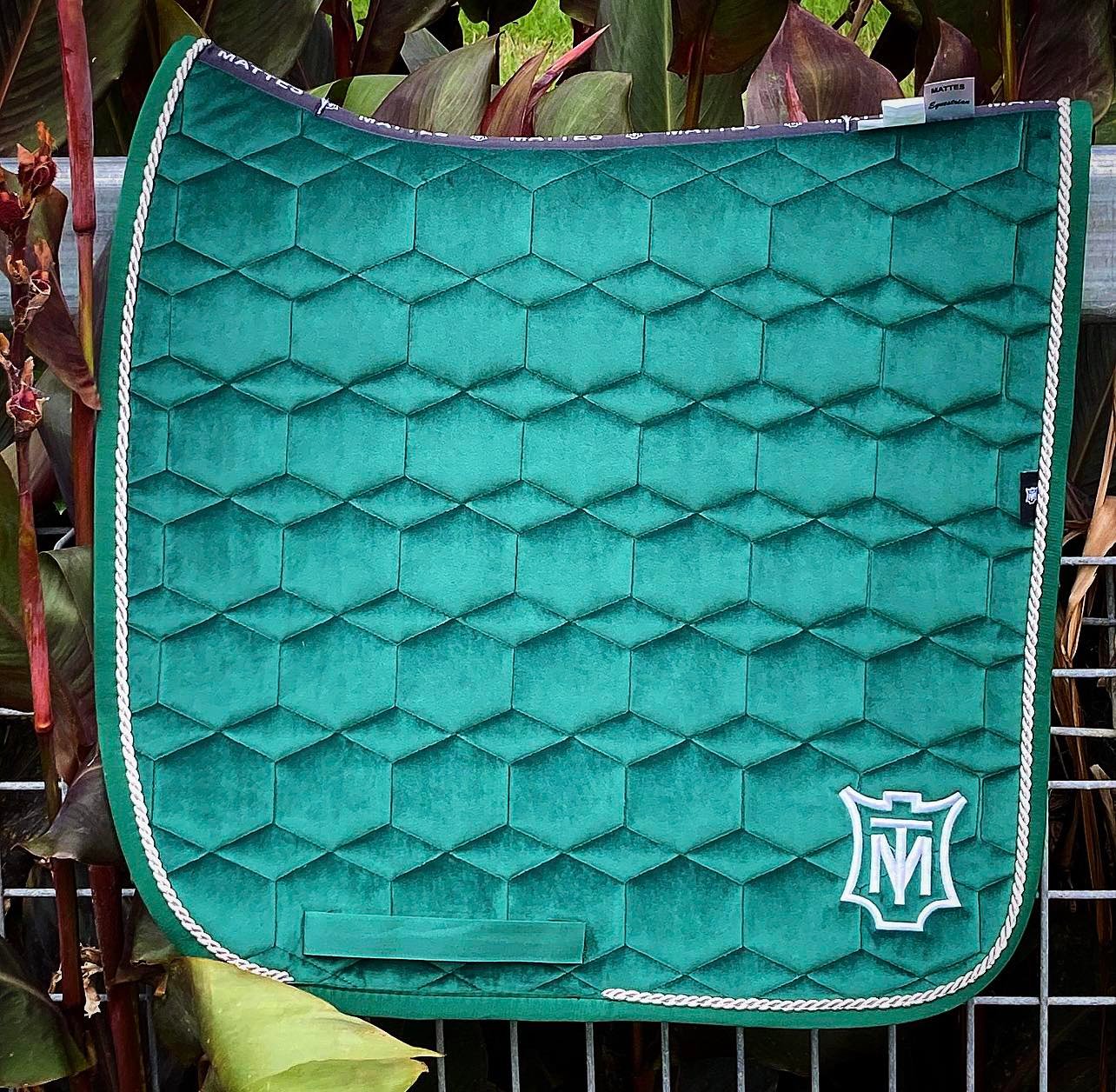 #𝗺𝗮𝘁𝘁𝗲𝘀𝗺𝗼𝗻𝗱𝗮𝘆 | 𝗚𝗿𝗲𝗲𝗻 𝗩𝗲𝗹𝘃𝗲𝘁 💚😍