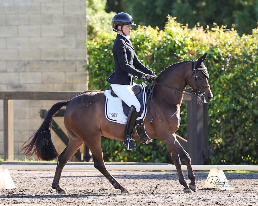 𝐒𝐭𝐲𝐥𝐞 𝐲𝐨𝐮𝐫 𝐫𝐢𝐝𝐞 𝐟𝐨𝐫 𝐭𝐡𝐞 𝐮𝐩𝐜𝐨𝐦𝐢𝐧𝐠 𝐒𝐩𝐫𝐢𝐧𝐠/𝐒𝐮𝐦𝐦𝐞𝐫 𝐜𝐨𝐦𝐩𝐞𝐭𝐢𝐭𝐢𝐨𝐧𝐬