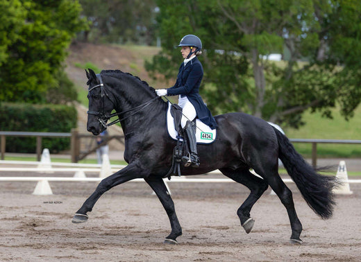 Ride in Style: Why Embroidered Bridle Numbers on Saddle Pads are a Gam ...