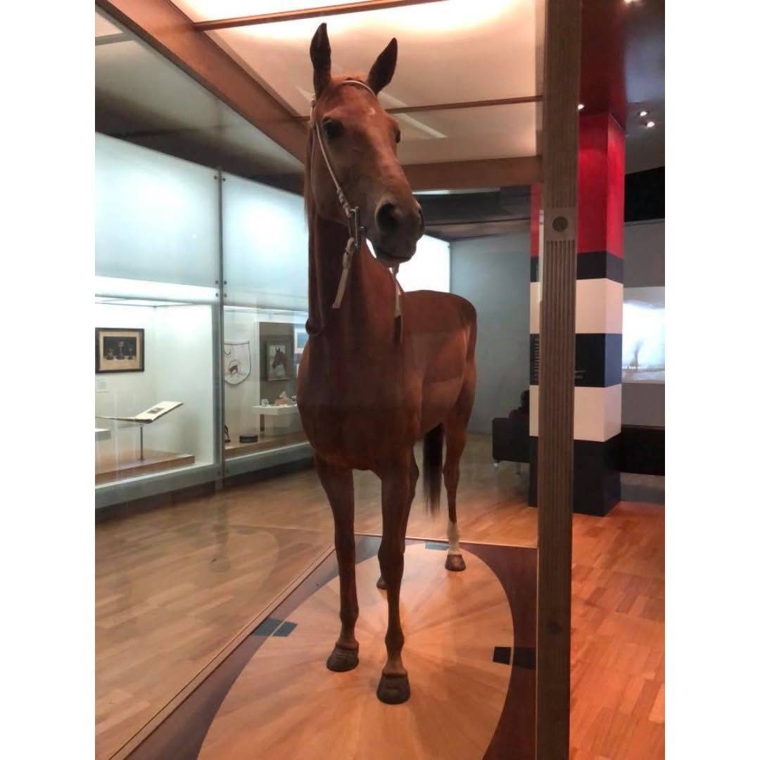 Phar Lap: 100 Years of an Australian Racing Legend