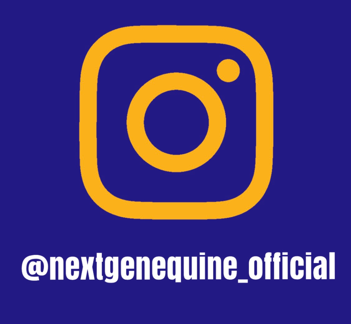 Follow us on Instagram!