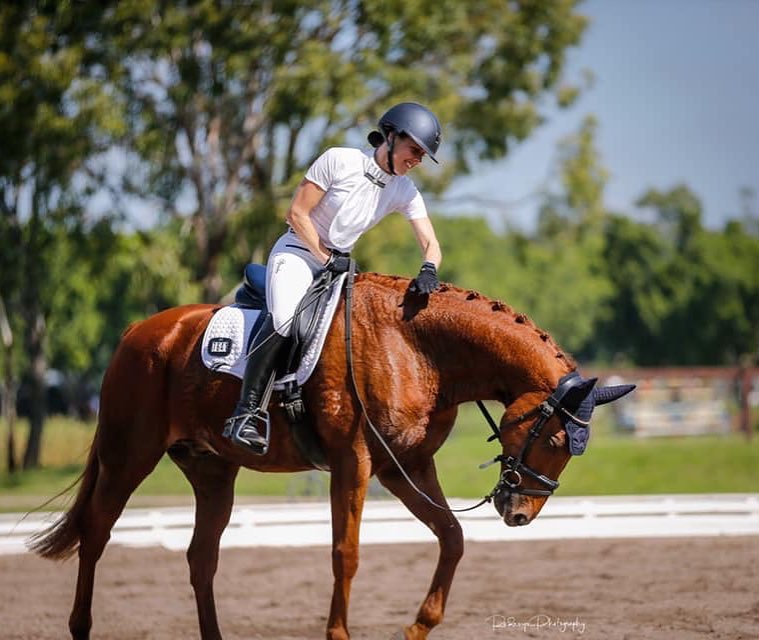 NGE Gallery | E.A.Mattes Saddle Pad