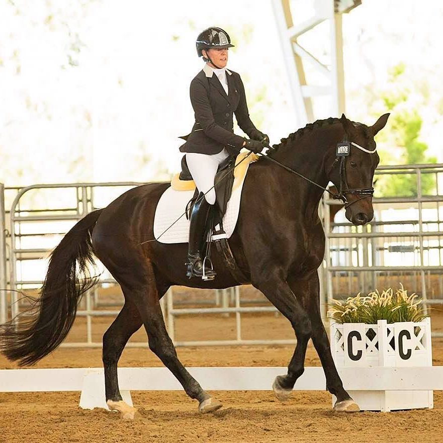 NGE Gallery | E.A.Mattes Half Pad