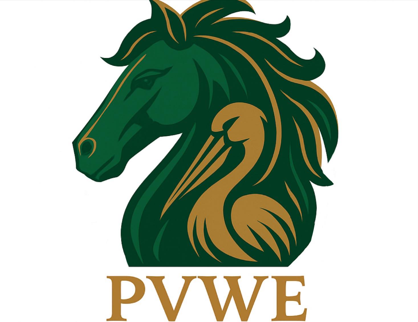 NextGen Equine | Supporting local equestrian clubs