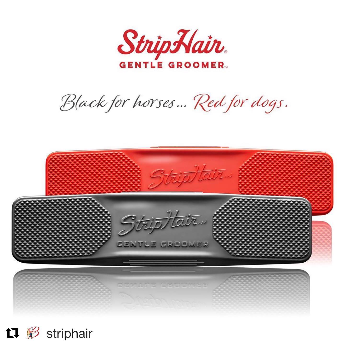 [STRIPHAIR] Gentle grooming for your horse or pony..