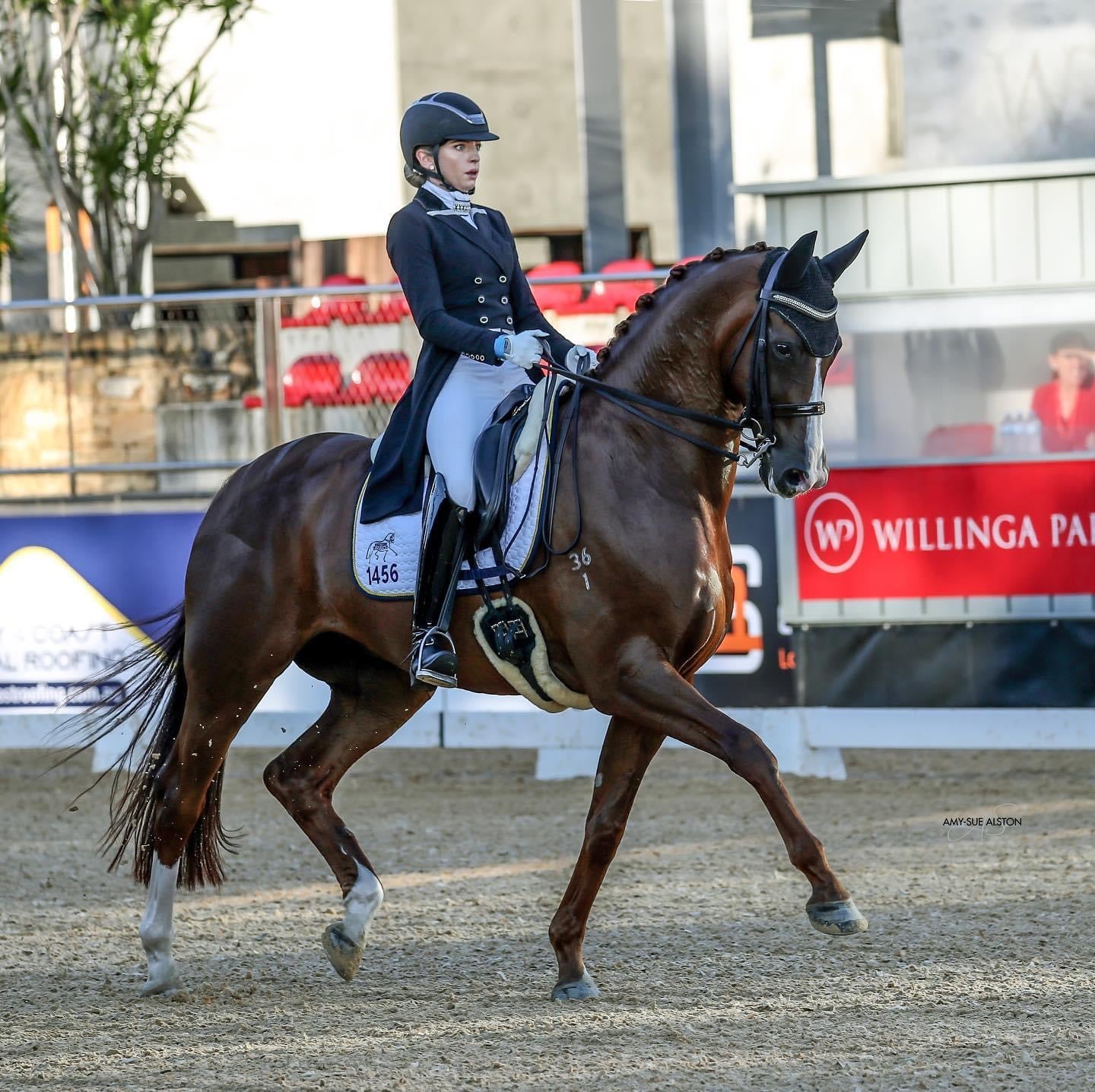 Dressage by the Sea @ Willinga Park