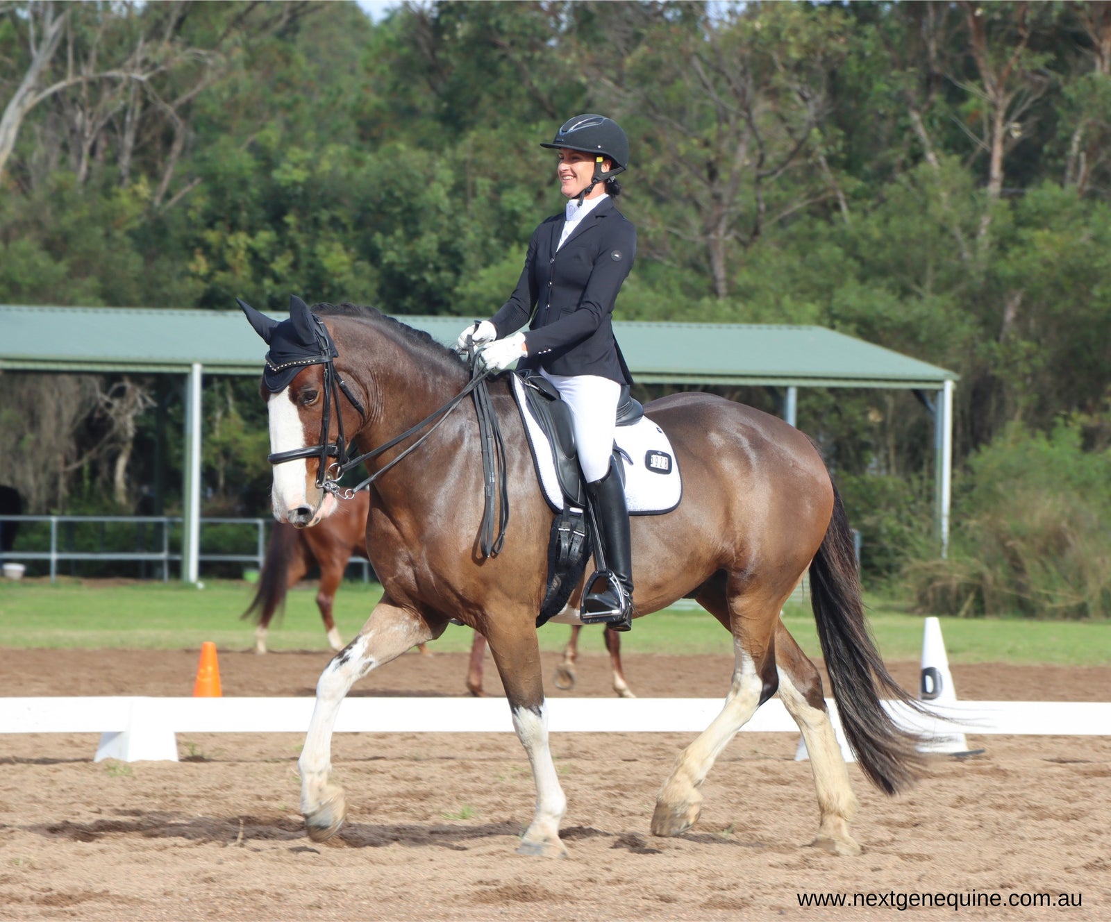 Alexander Park Dressage Club April Competition