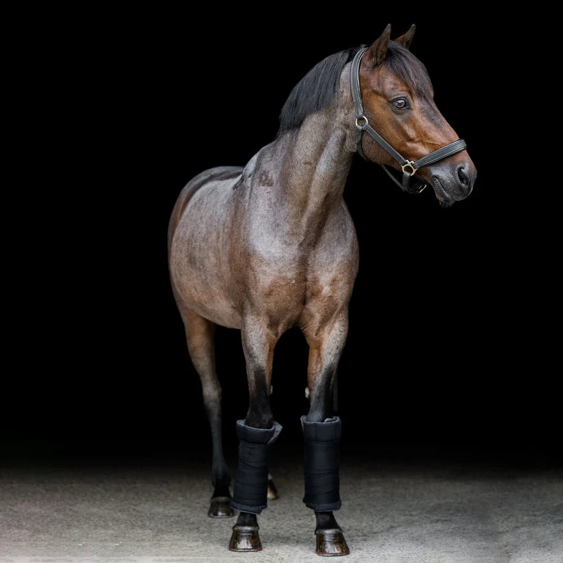 Incrediwear Equine Circulation Standing Wraps | Black Pair