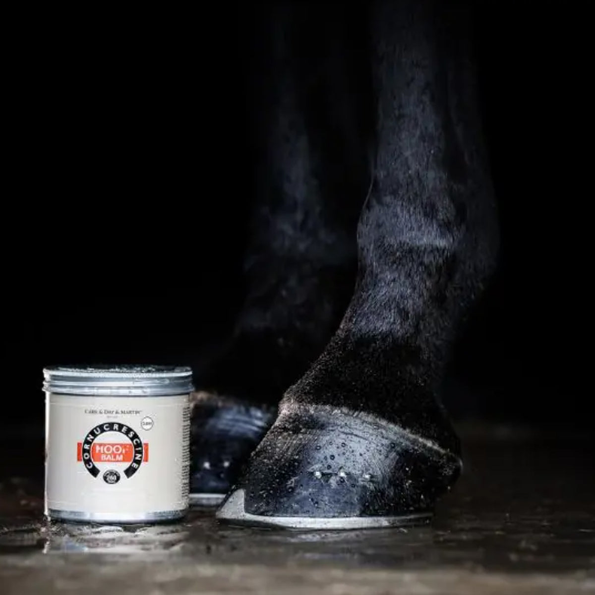 Carr & Day & Martin Cornucrescine Hoof Balm Clear 500ml