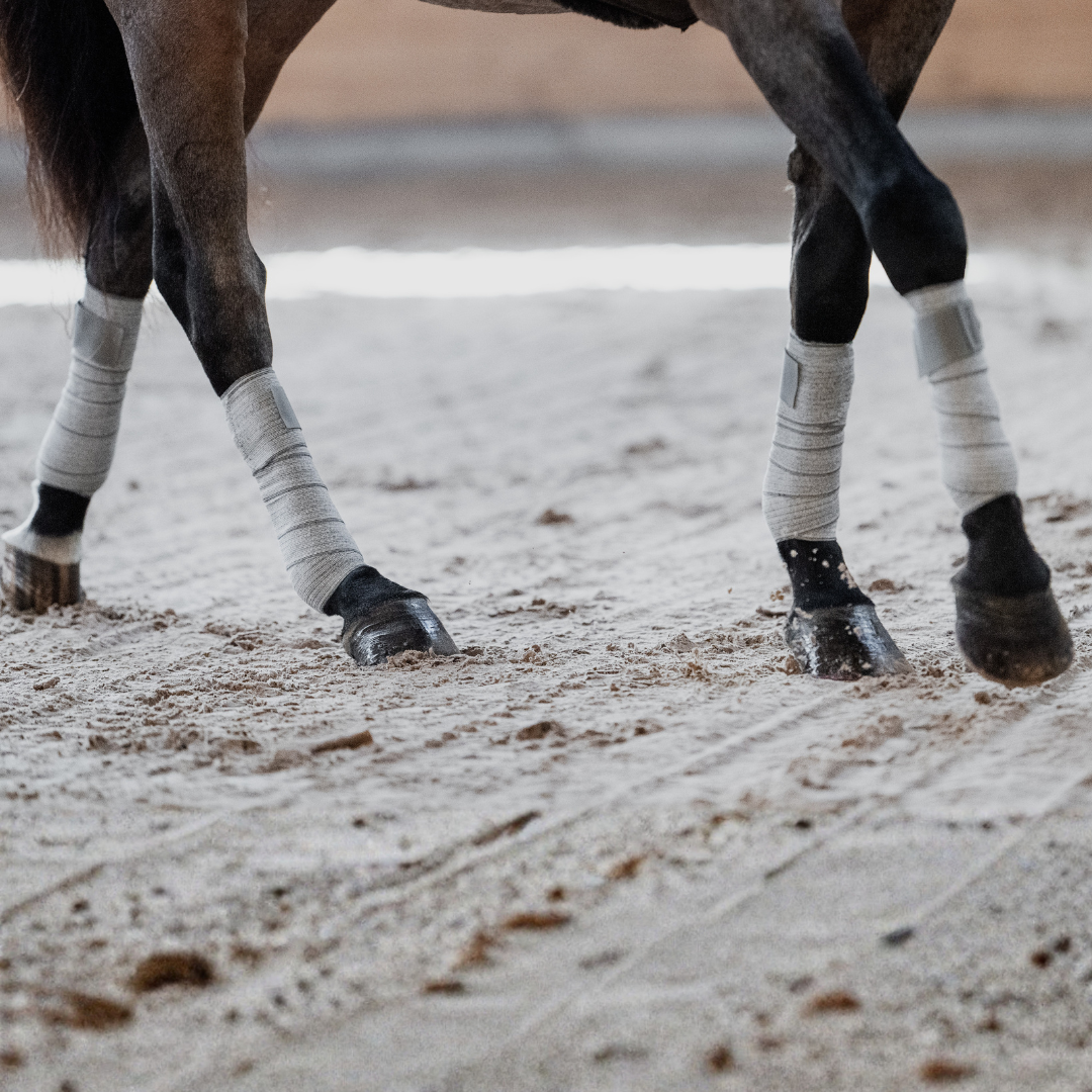 Incrediwear Equine Circulation Bandages | Grey Pair