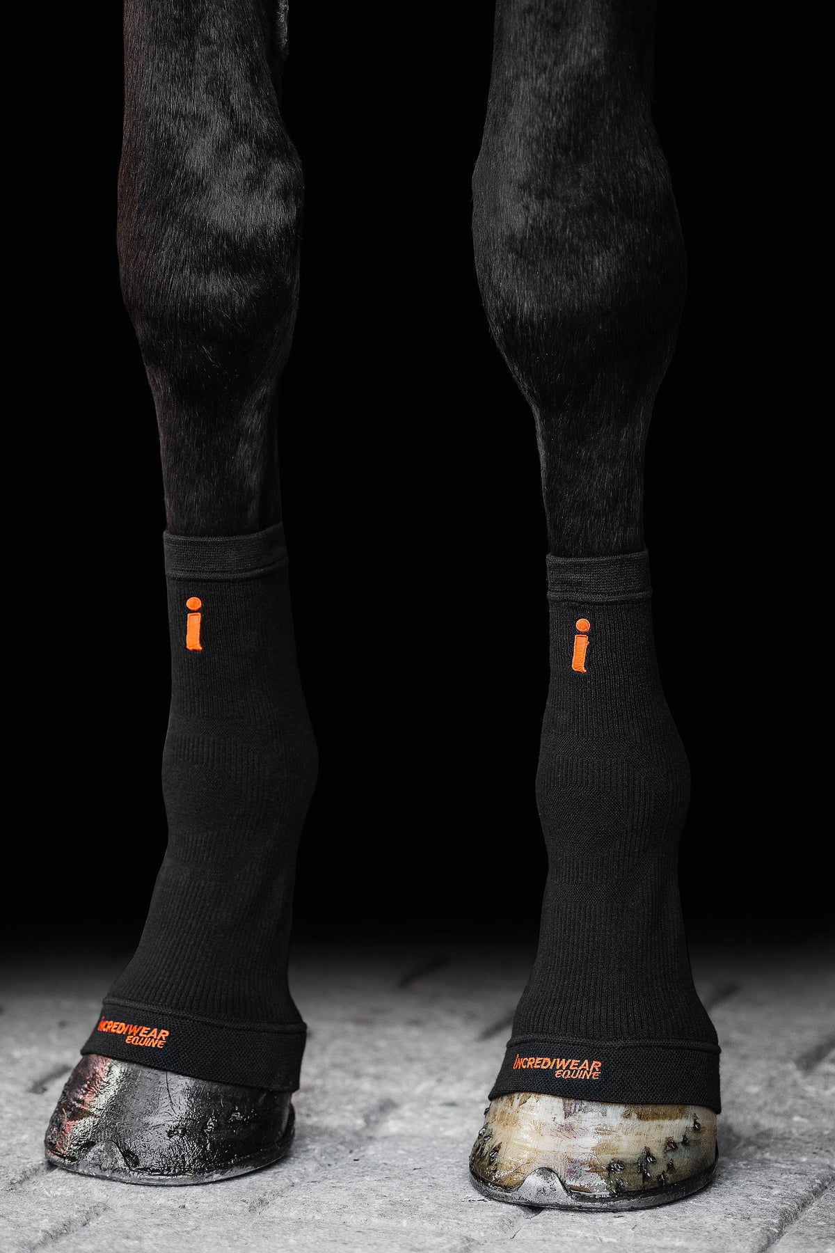 Incrediwear Equine Circulation Hoof Socks | Black Pair One Size