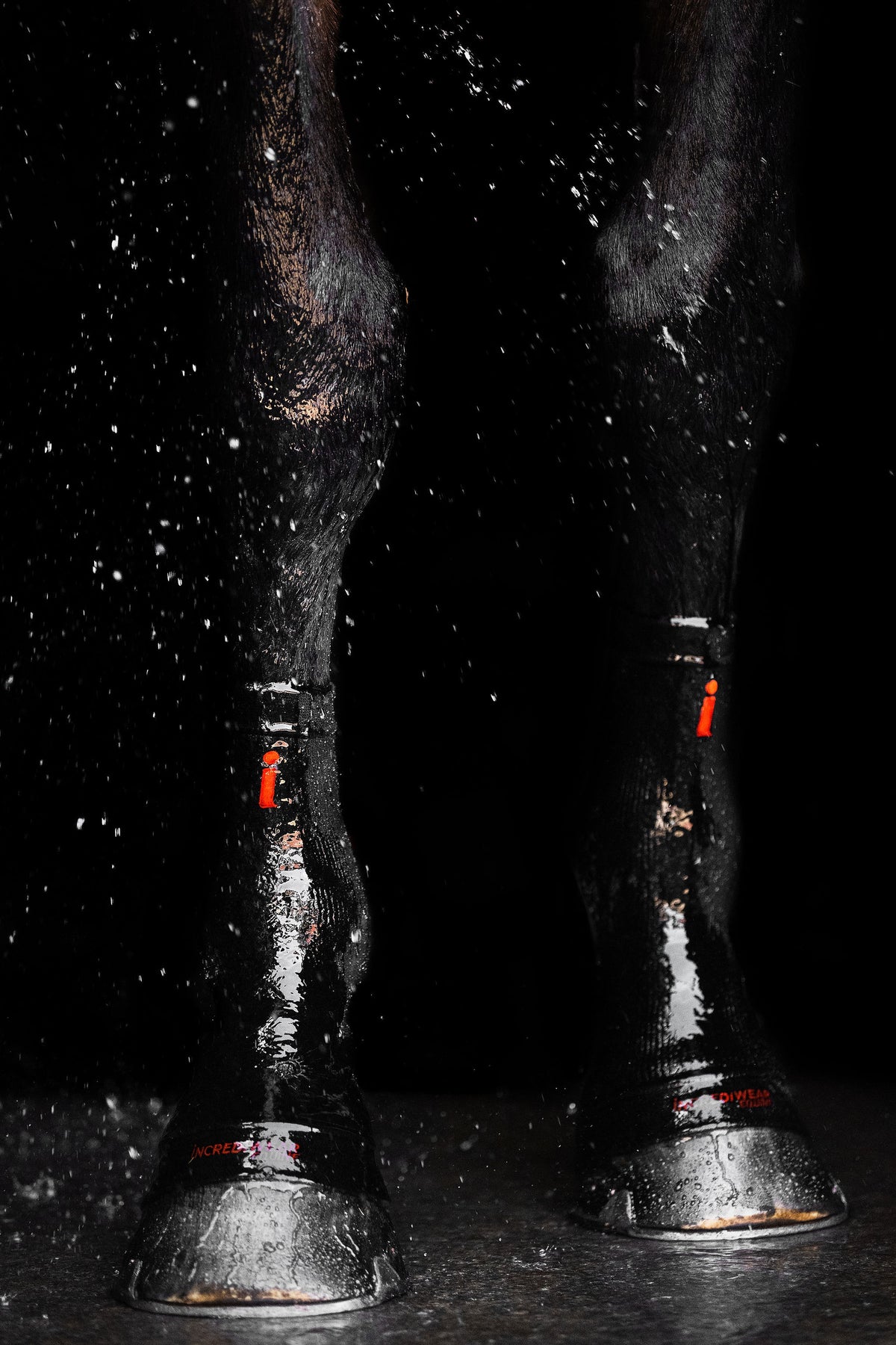 Incrediwear Equine Circulation Hoof Socks | Black Pair One Size