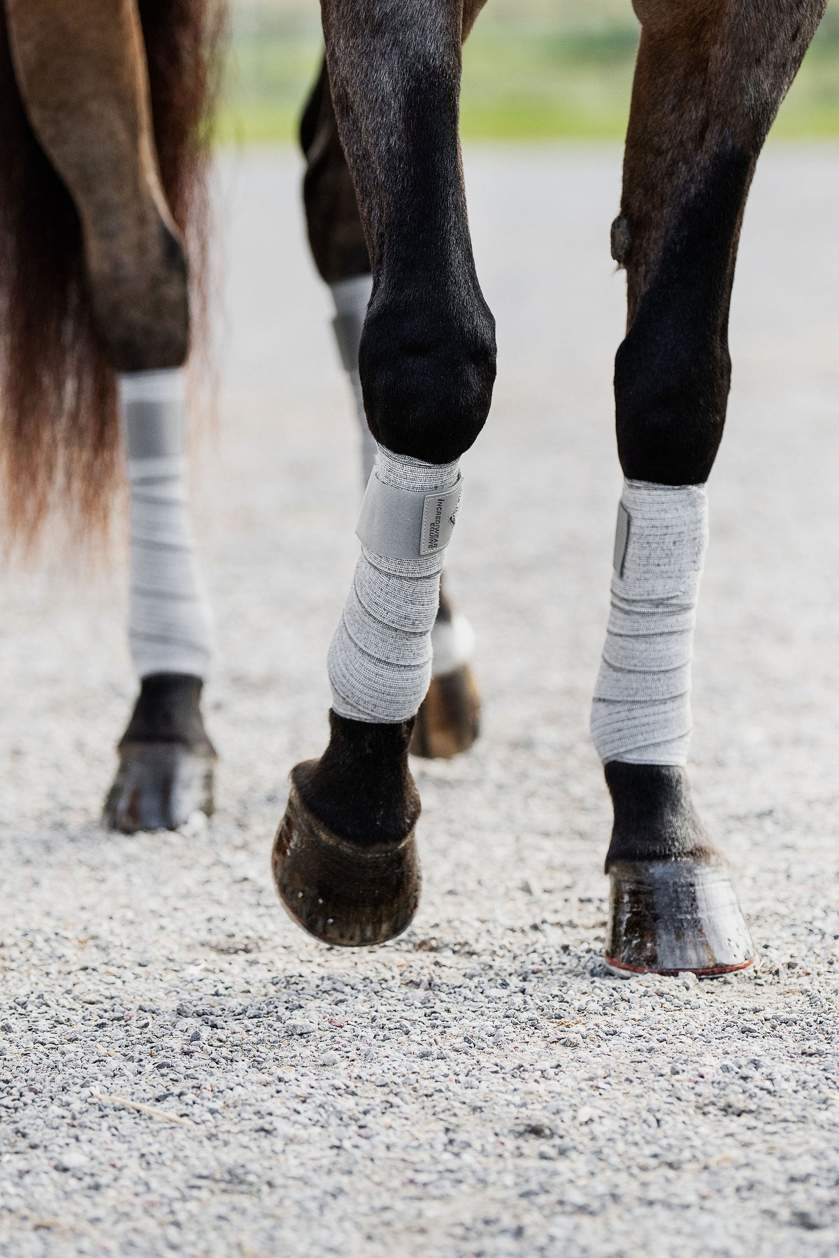 Incrediwear Equine Circulation Bandages | Grey Pair Pony