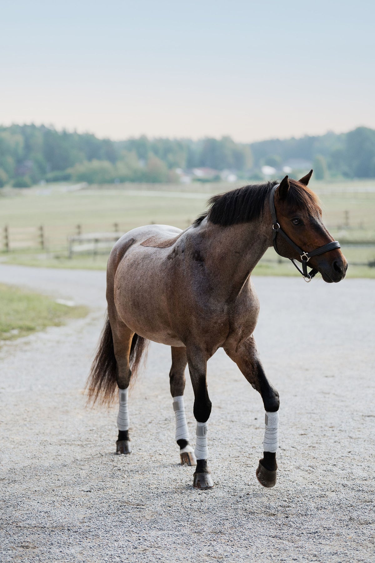 Incrediwear Equine Circulation Bandages | Grey Pair Pony