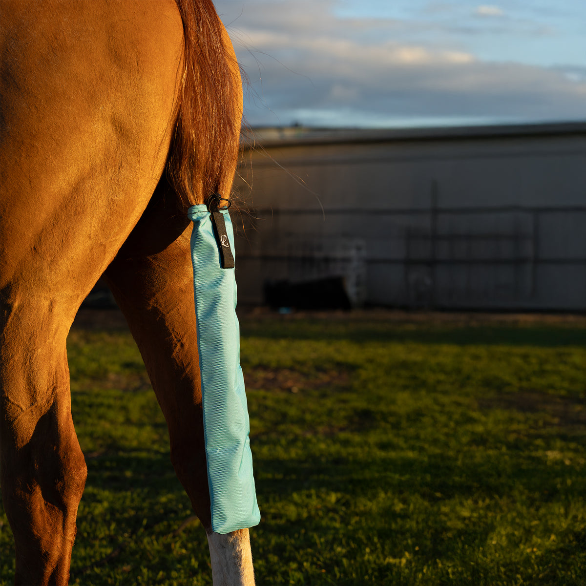 Lightning Clothing Company Tail Bag | Various Colours