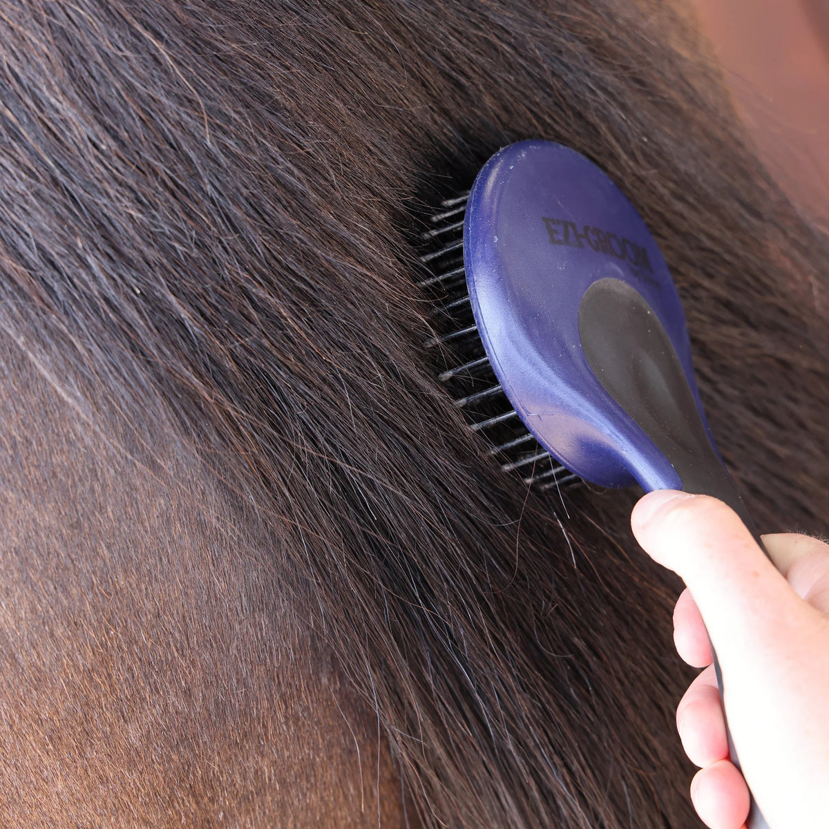 Shires EZI-GROOM Grip Mane & Tail Brush One SIze