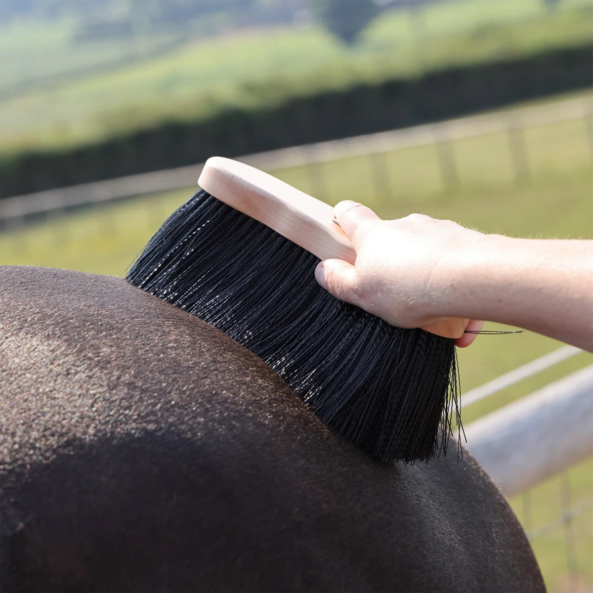 Shires EZI-GROOM Premium Wooden Long Dandy Brush | 75mm Bristles