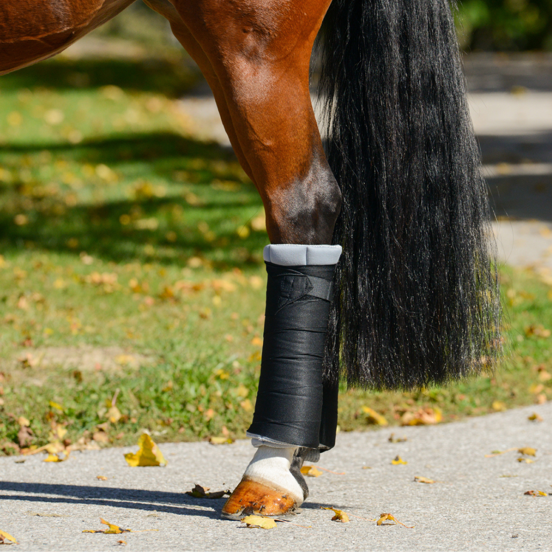 Incrediwear Equine Circulation Standing Wraps | Grey Pair