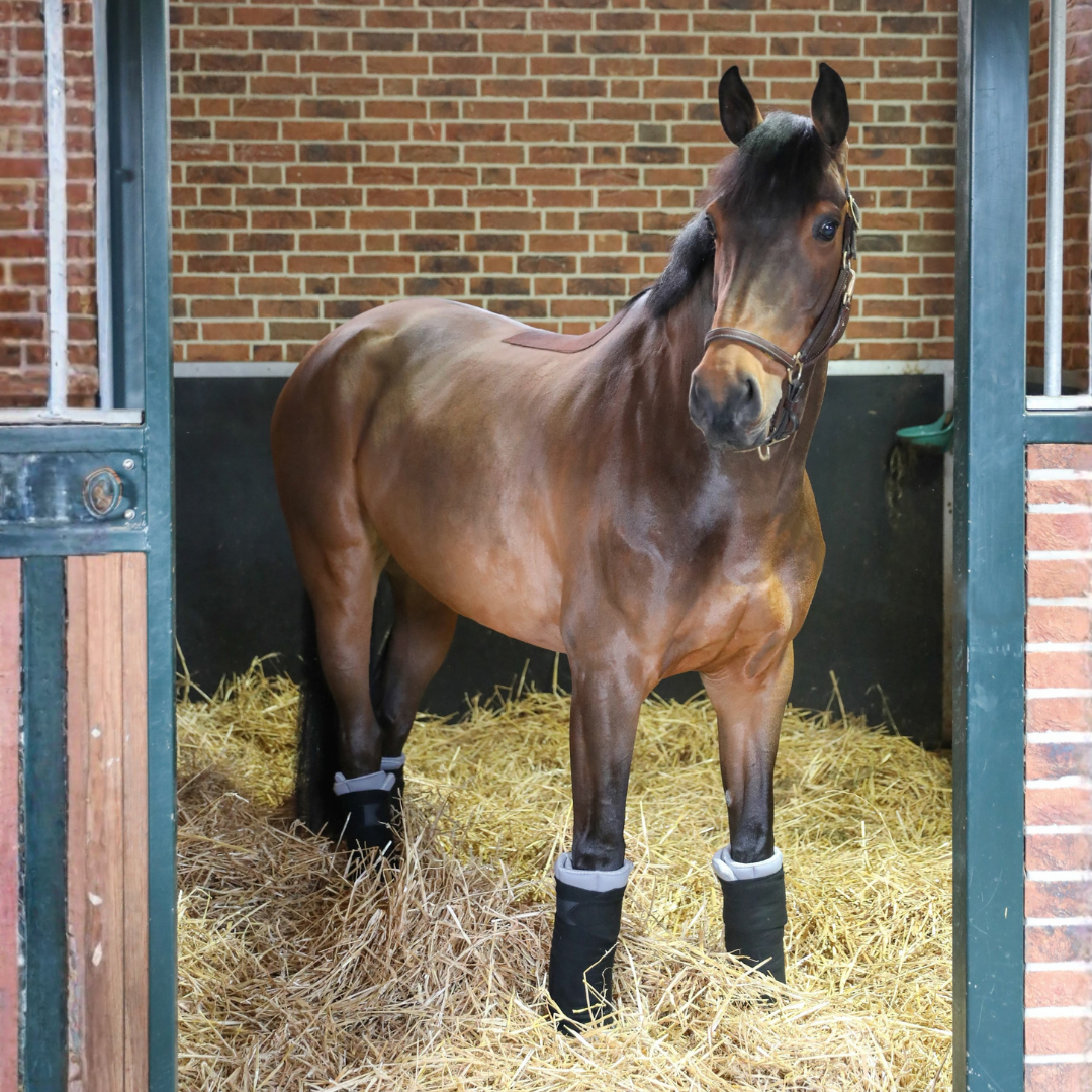 Incrediwear Equine Circulation Standing Wraps | Grey Pair