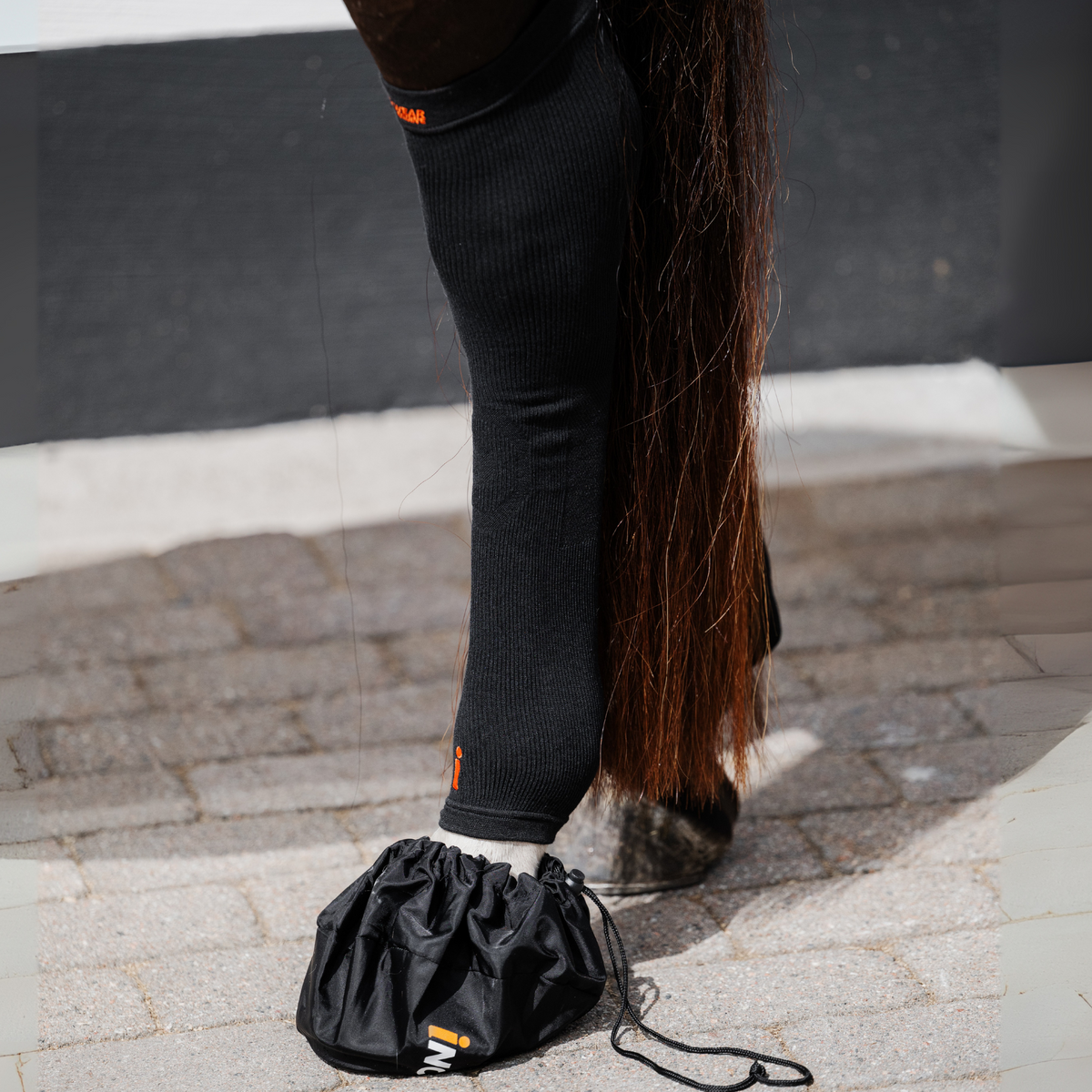Incrediwear Equine Circulation Hock Sleeves | Black Pair One Size