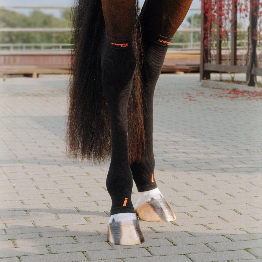 Incrediwear Equine Circulation Hock Sleeves | Black Pair One Size