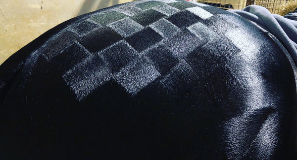 Q Comb for Quarter Markers - NextGen Equine