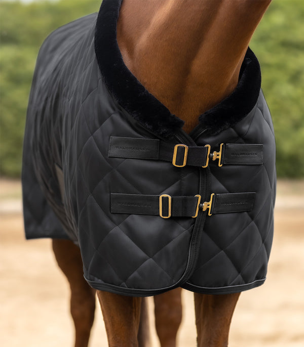 Waldhausen Exclusive Show/Stable Rug Black - NextGen Equine