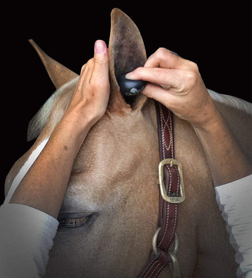 Plughz Horse Ear Plugs, 2 Pair Pack - NextGen Equine 